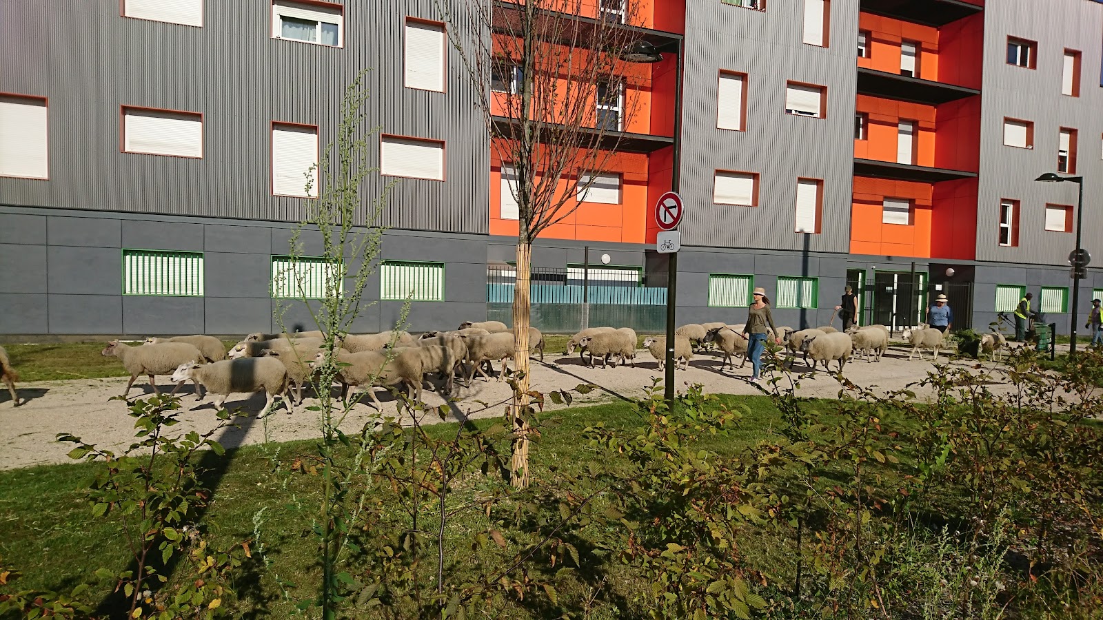 Villetaneuse