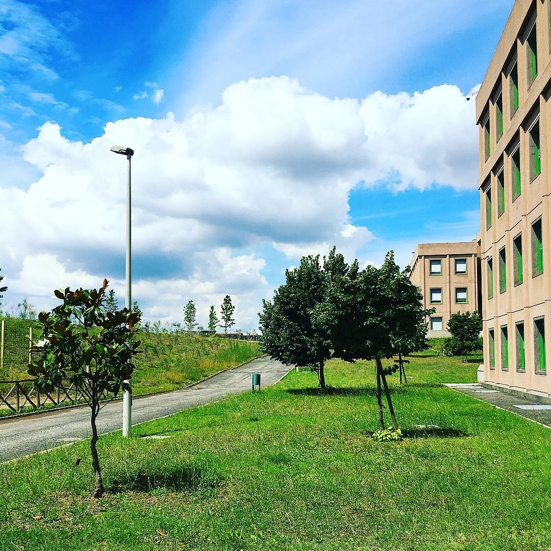 University of Roma Tor Vergata photo 8