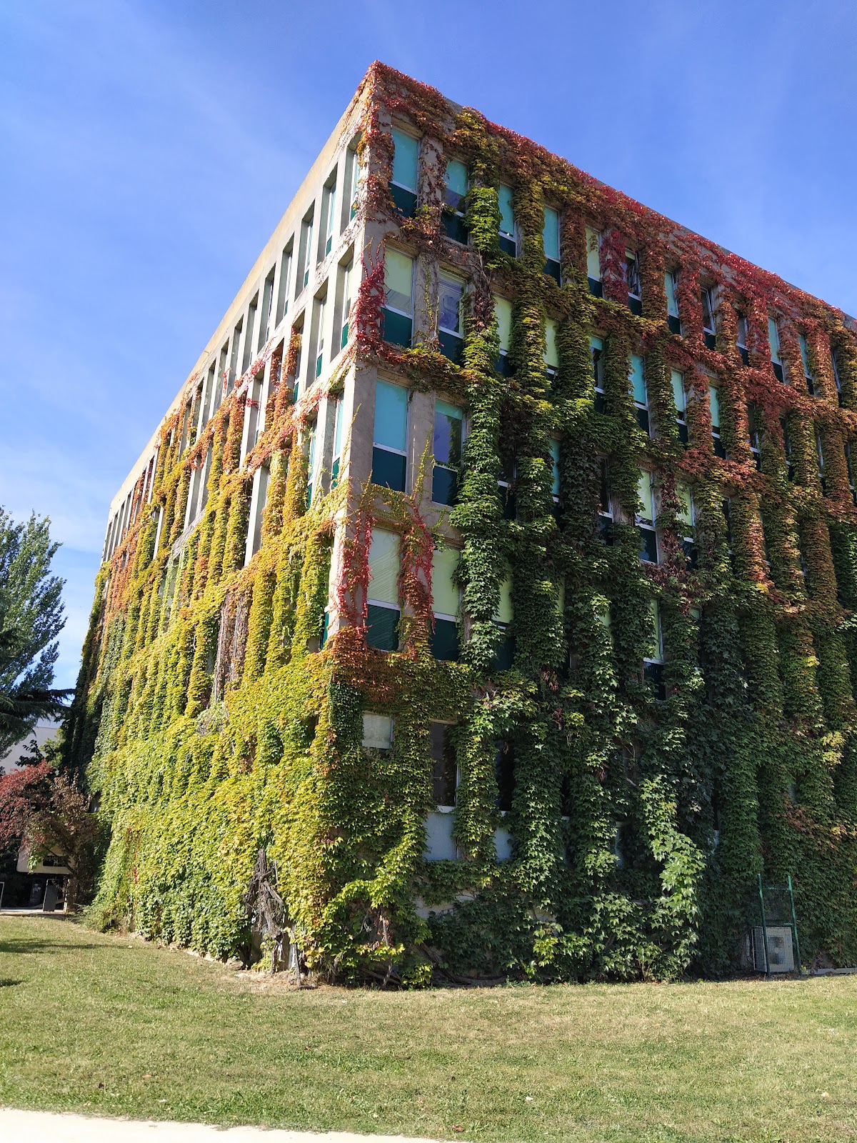 Université de Strasbourg photo 9