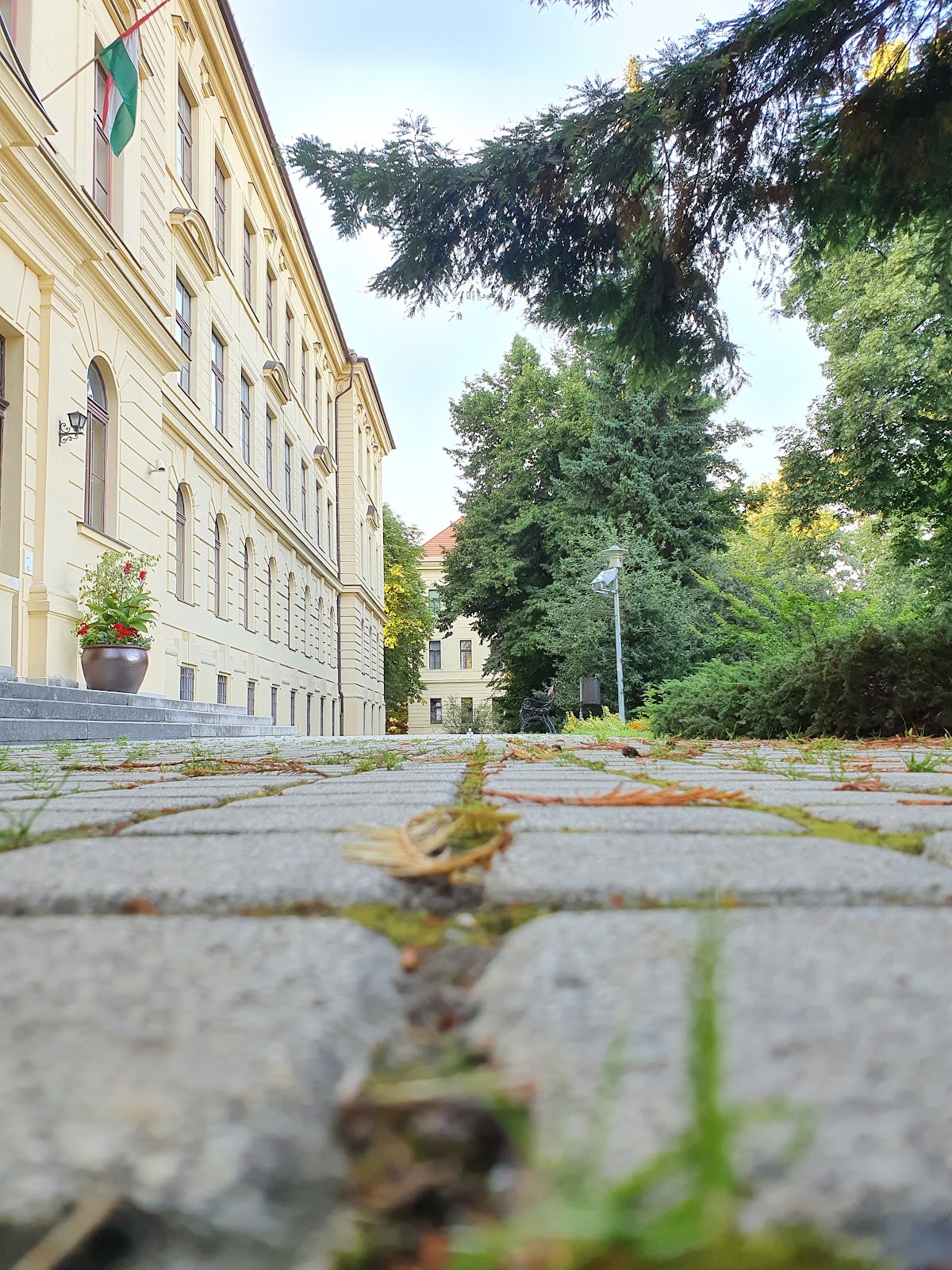 University of Sopron photo 9