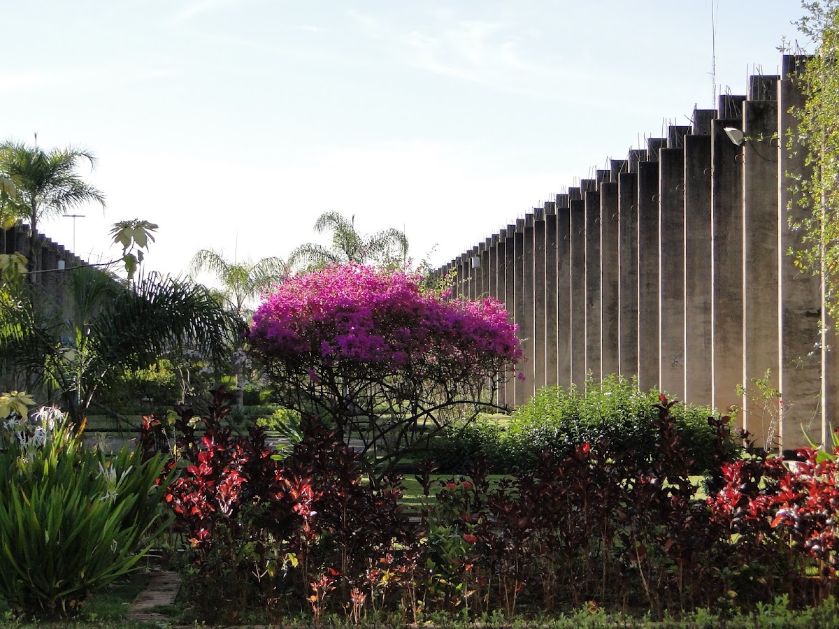 University of Brasília photo 5