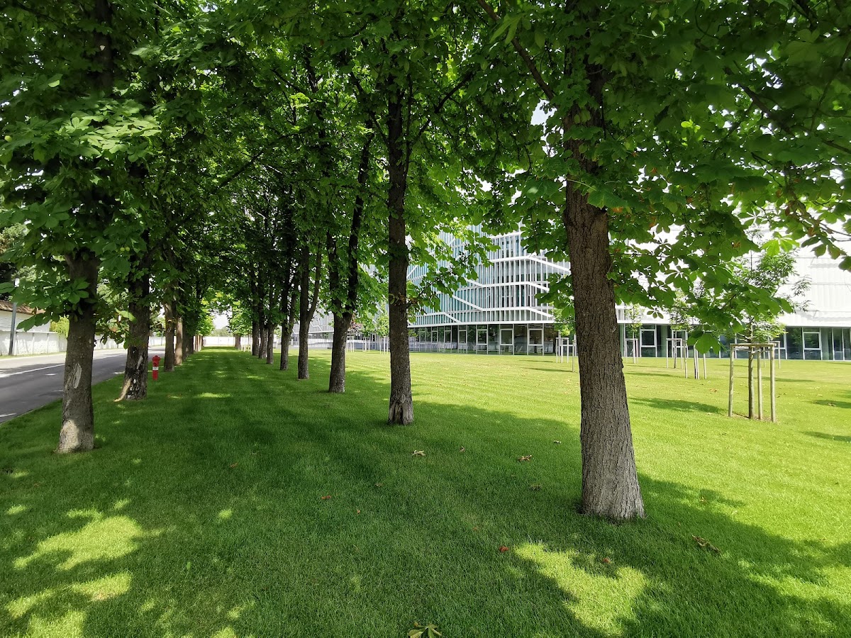 Kecskemét College photo 3