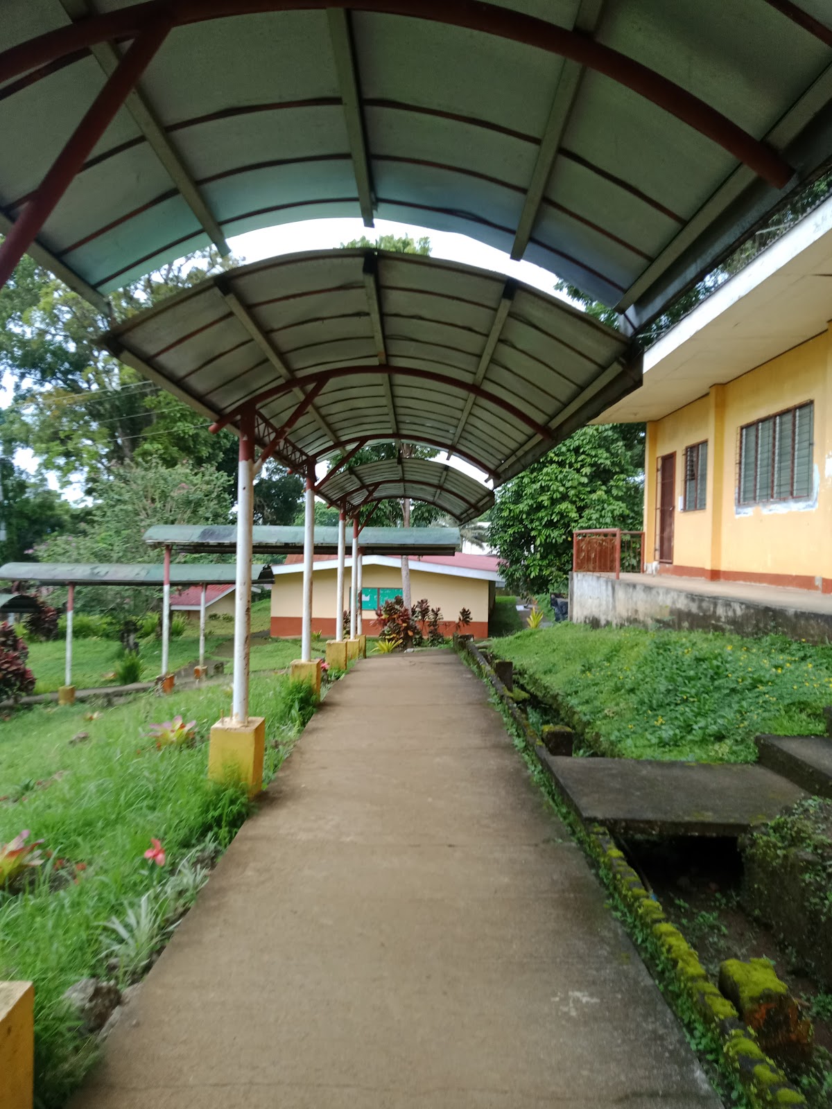 Mindanao State University - Main Campus photo 8