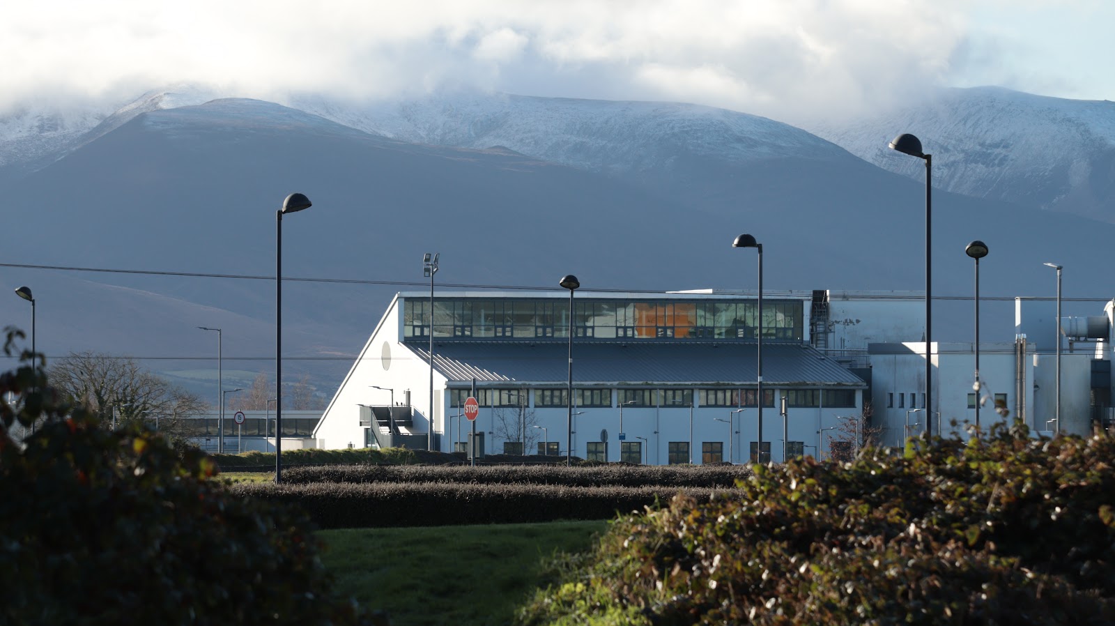 Tralee