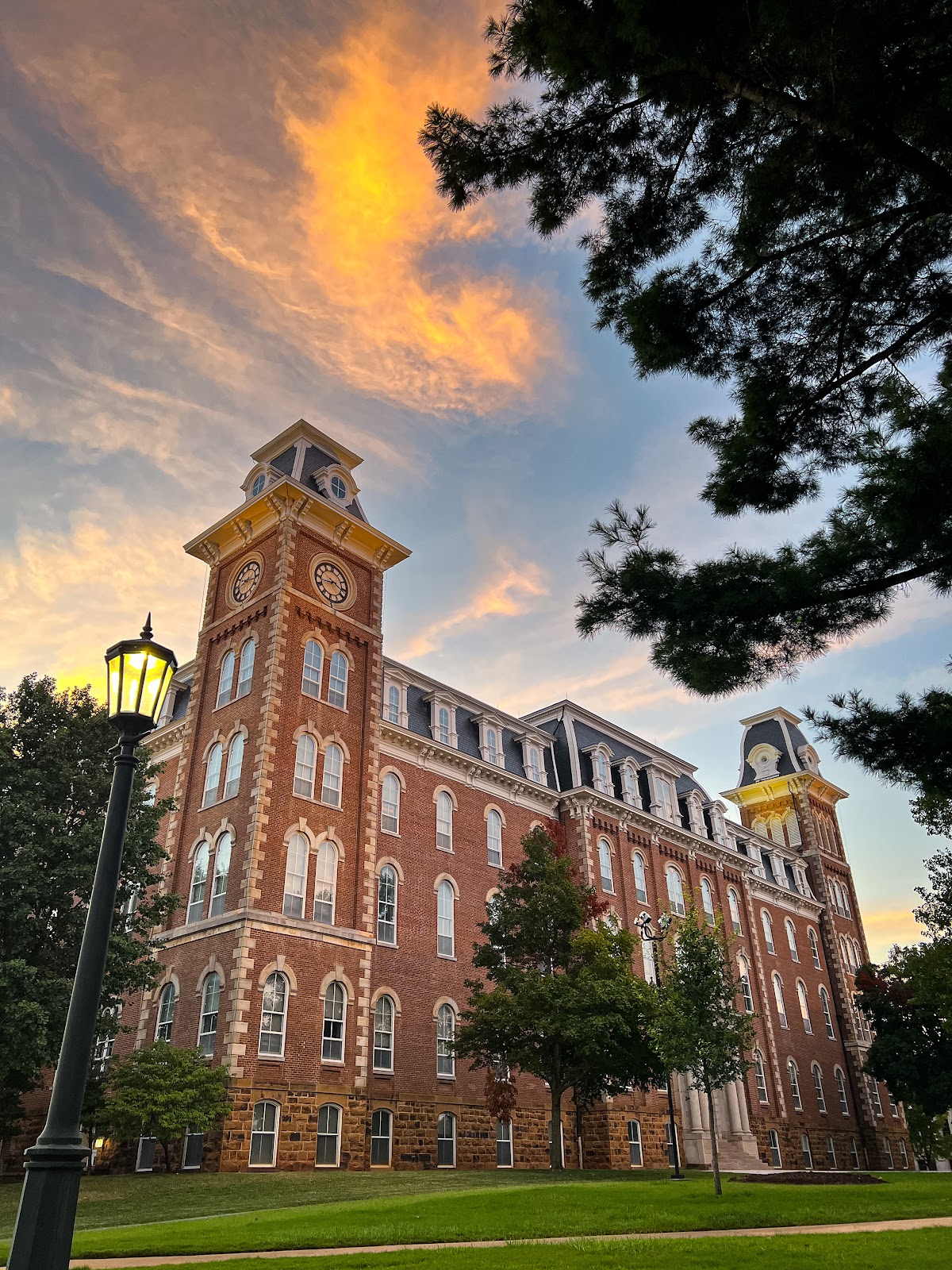 University of Arkansas photo 7