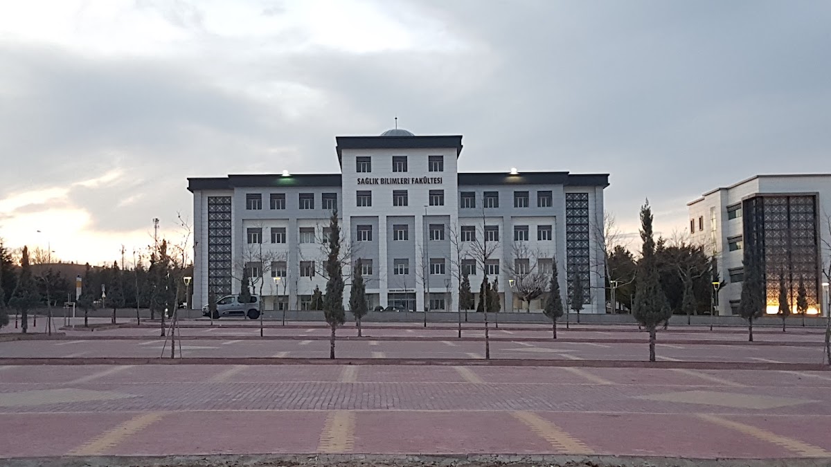 Selçuk University photo 1