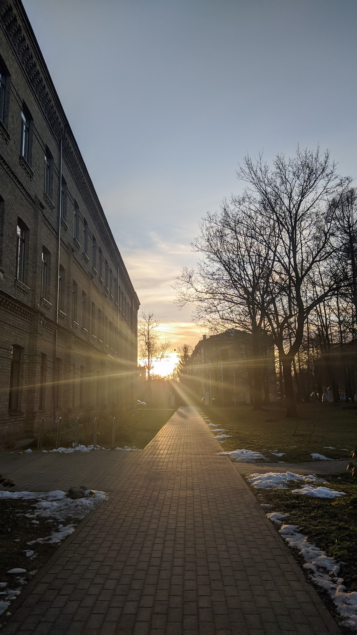Information Systems Management Institute (ISMA) photo 9