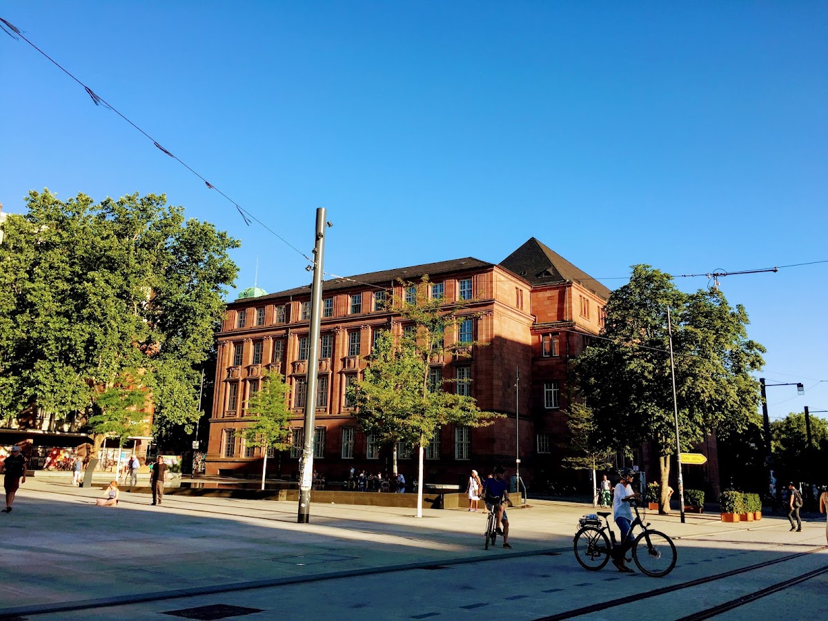 University of Freiburg photo 6