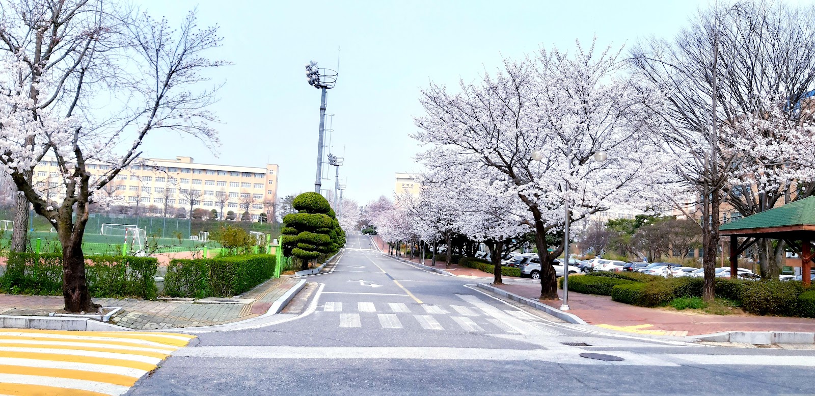 Wanju