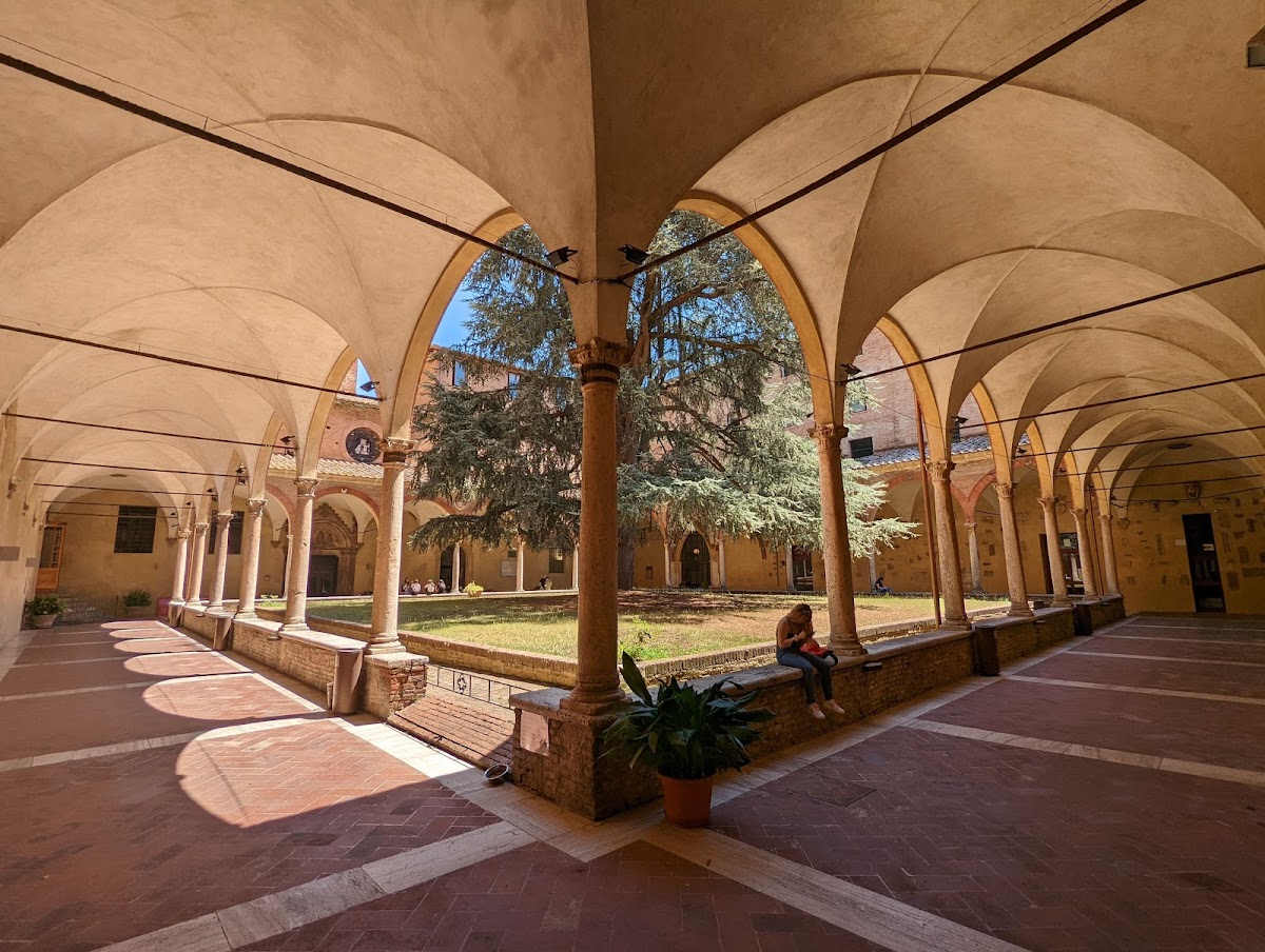 University of Siena photo 3
