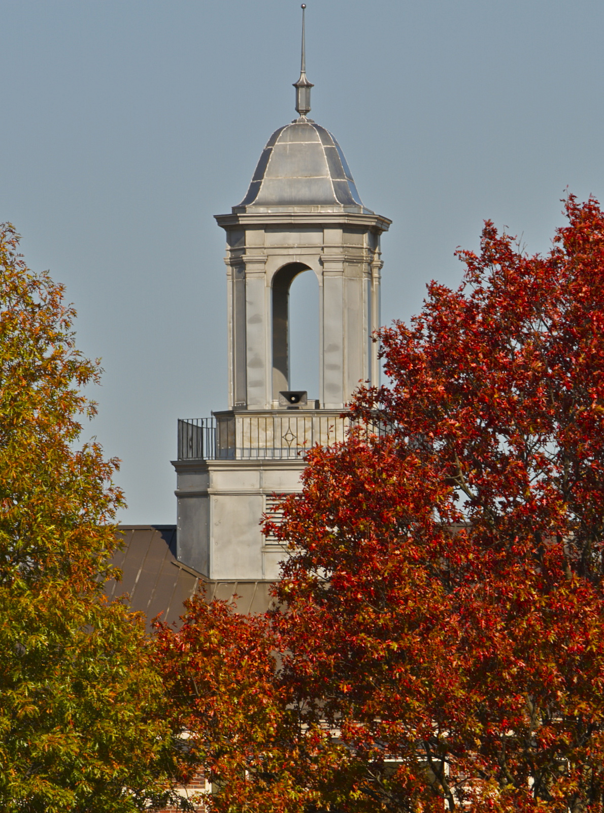 Regional University 2953 photo 8