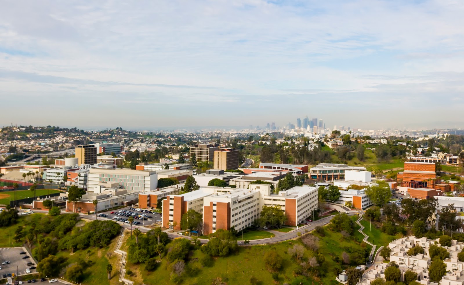 State University 2296
