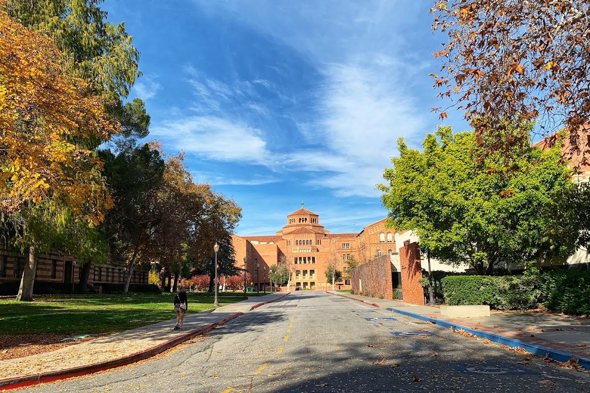 University_1240 photo 2