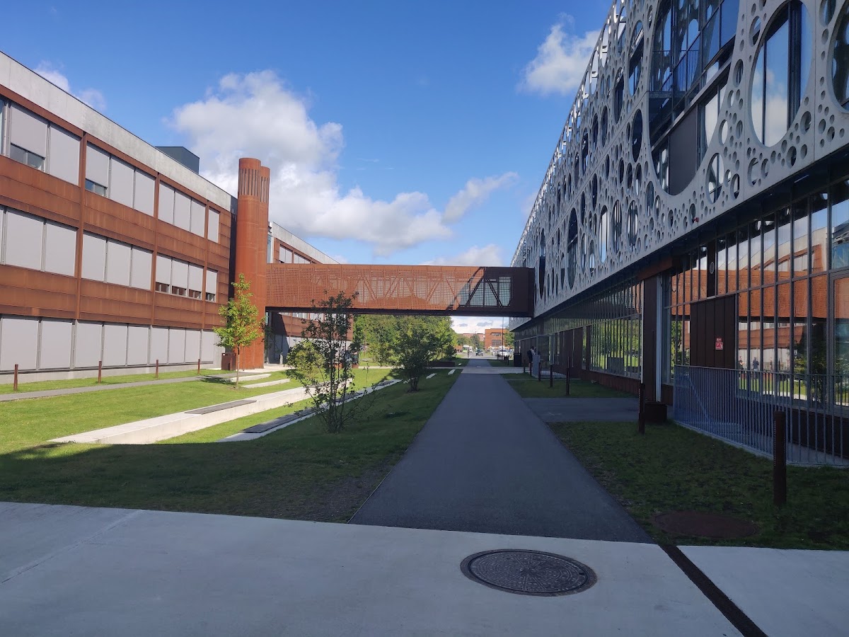 University of Southern Denmark photo 7