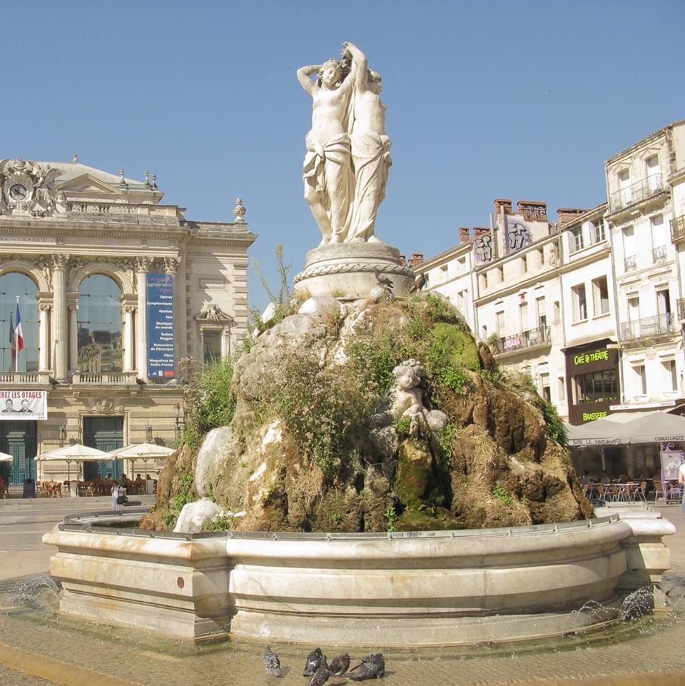 University of Montpellier photo 8