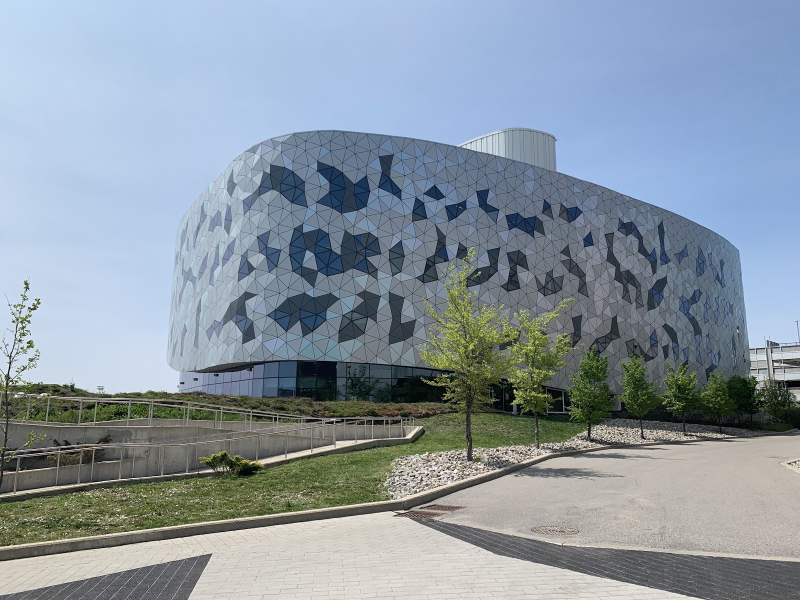 York University