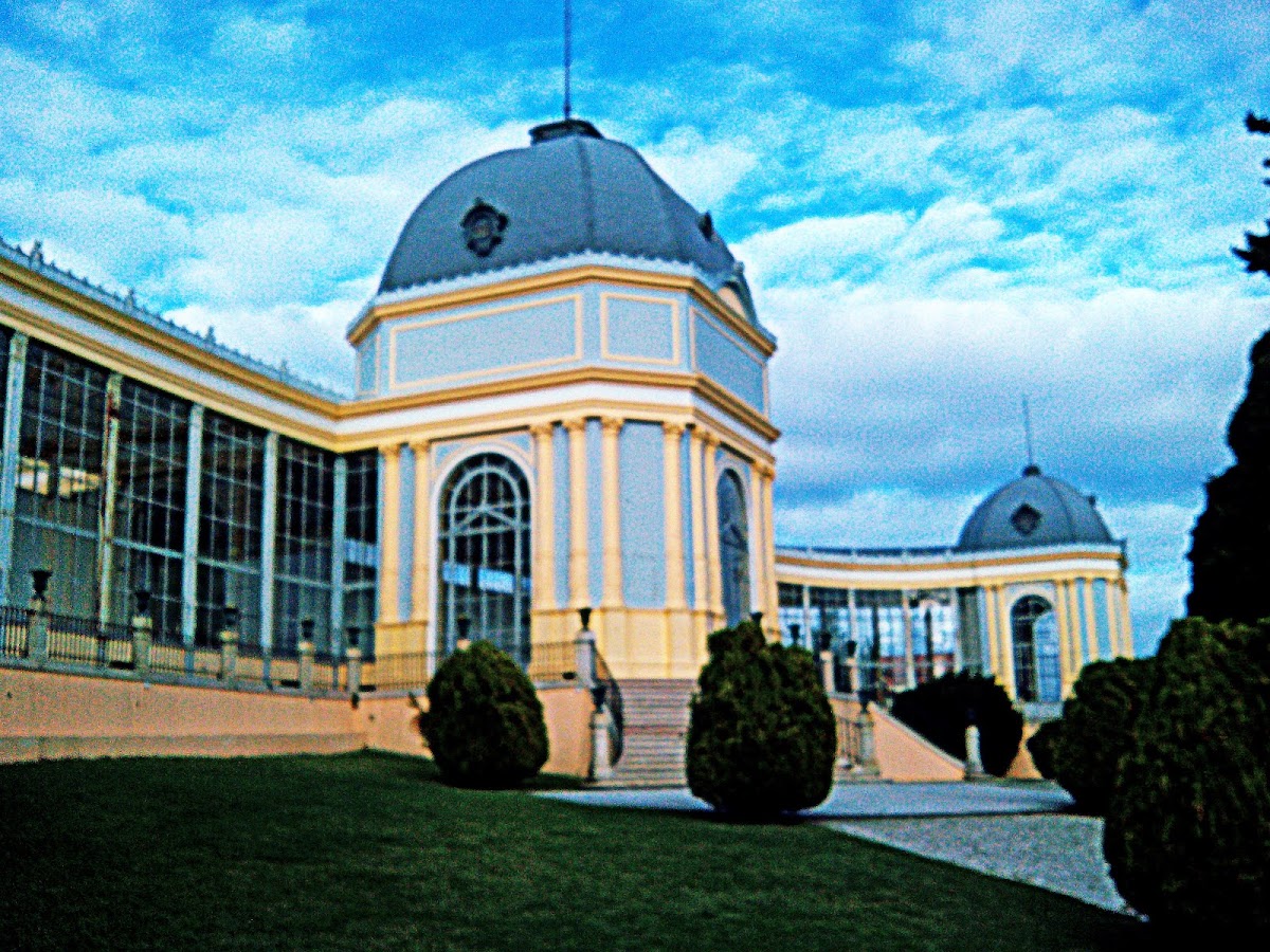 Instituto Superior de Agronomia photo 3