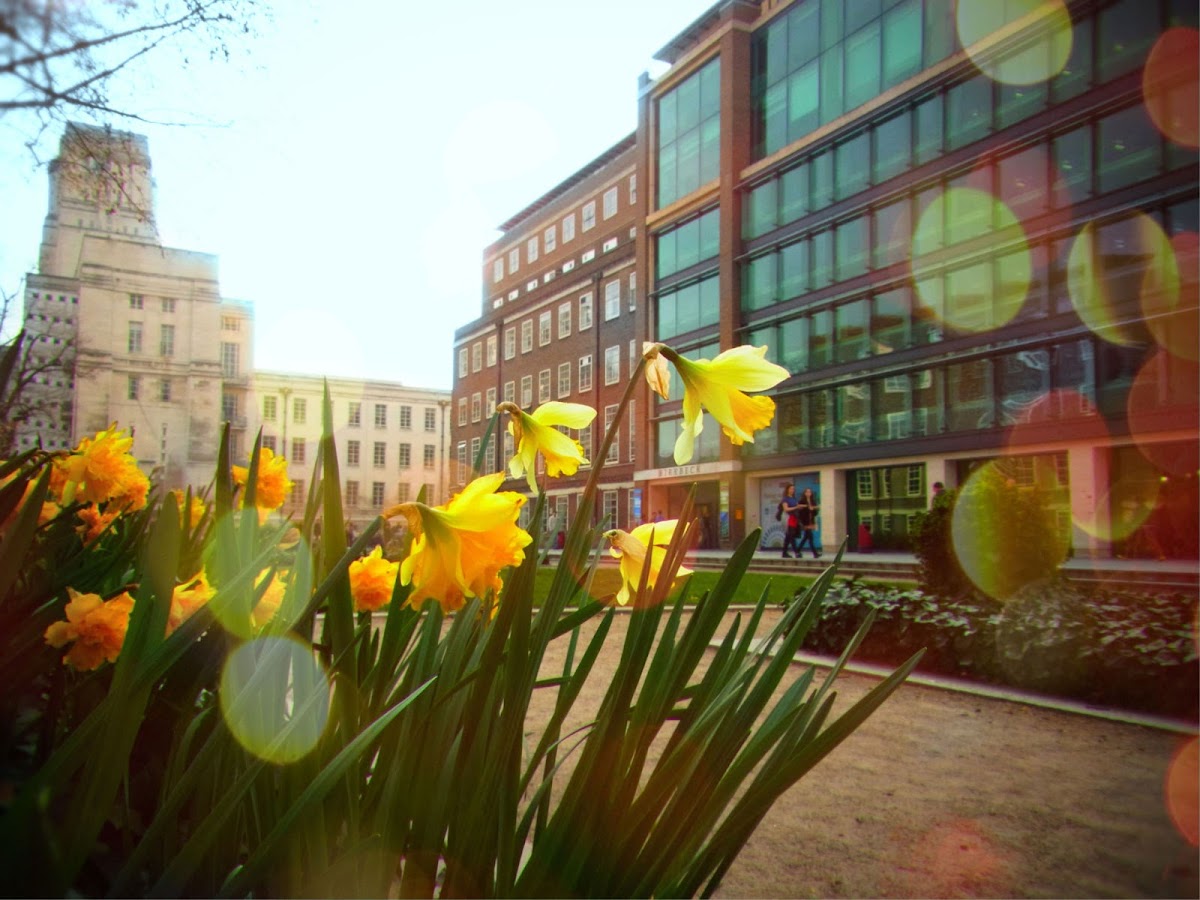 Birkbeck University of London photo 3