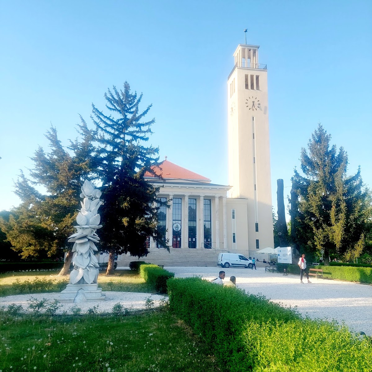 University of Debrecen photo 9