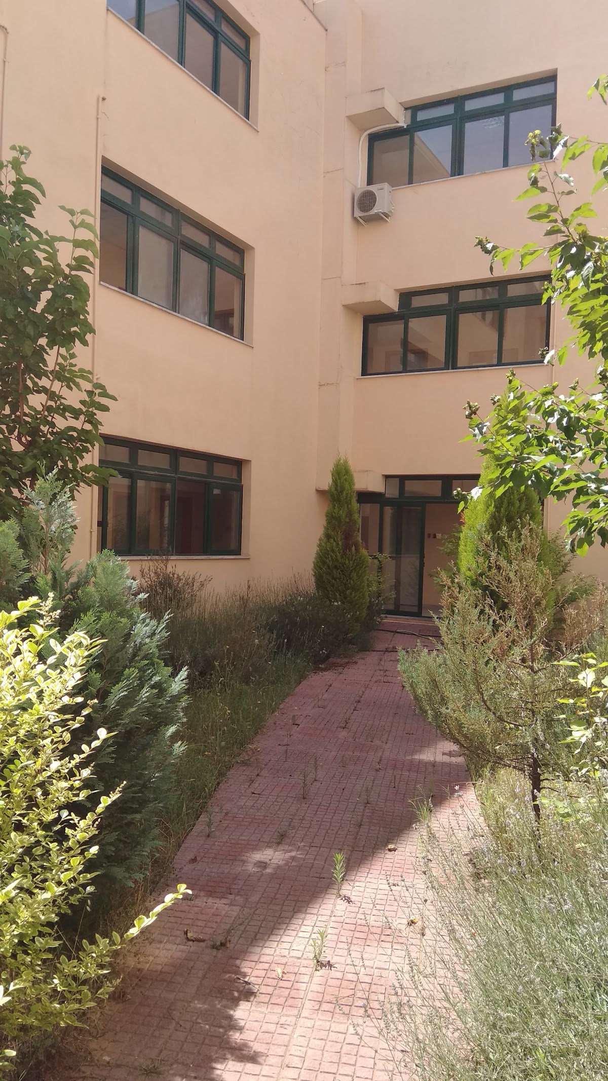 University of Peloponnese photo 9
