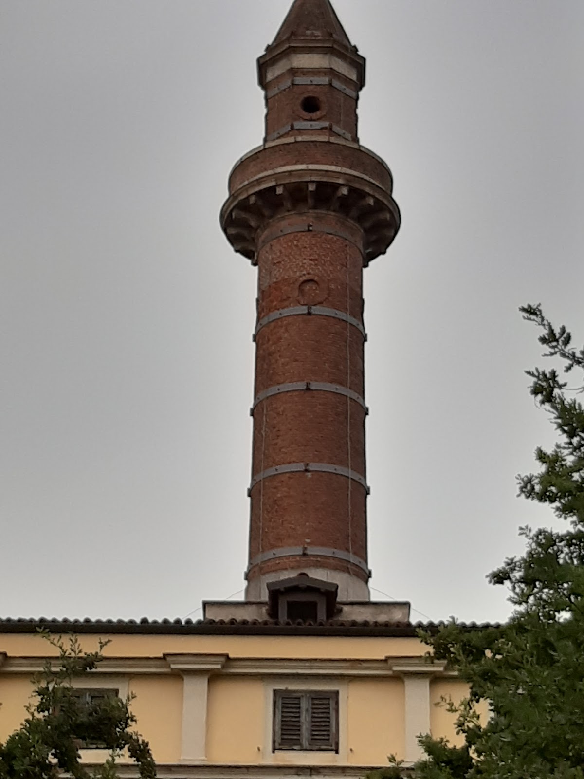 University of Pavia photo 8