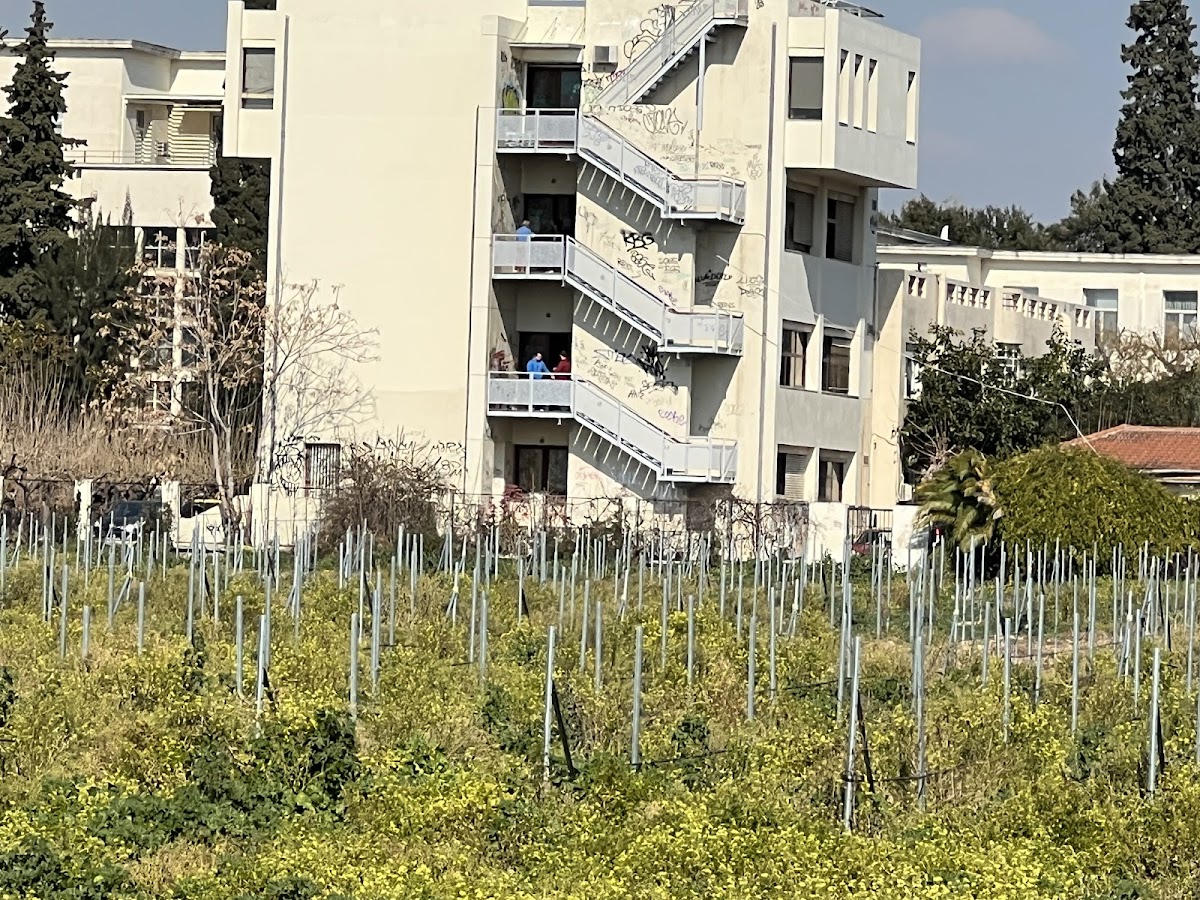 Agricultural University of Athens - Athens photo 4