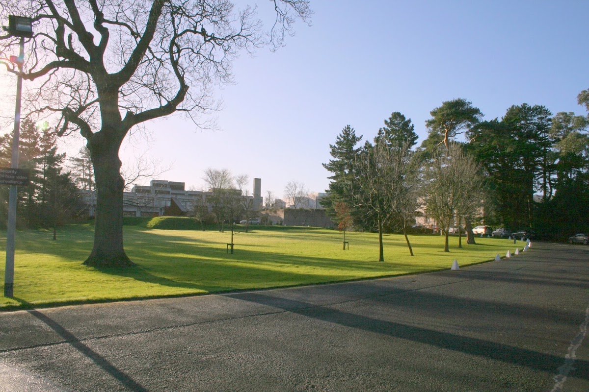 Irish Management Institute photo 1