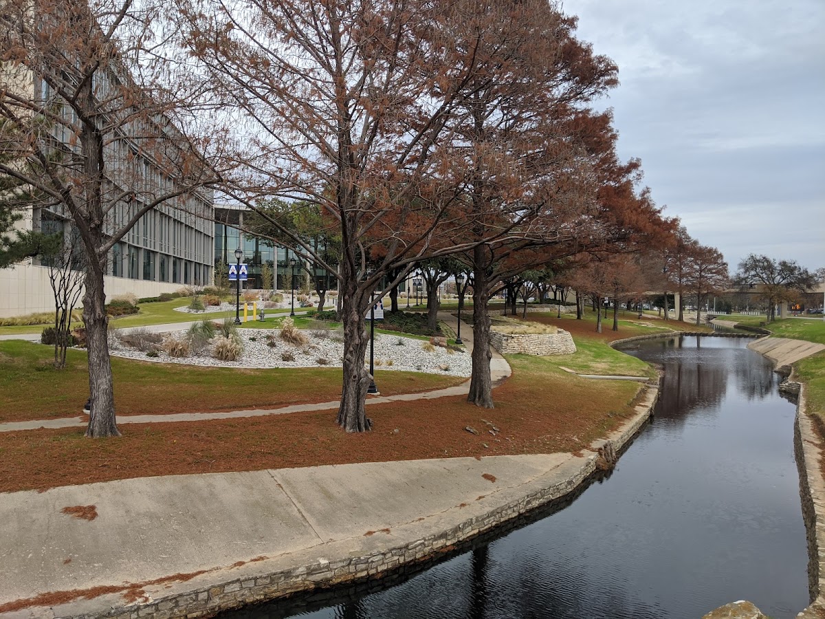 University of Texas at Arlington photo 4
