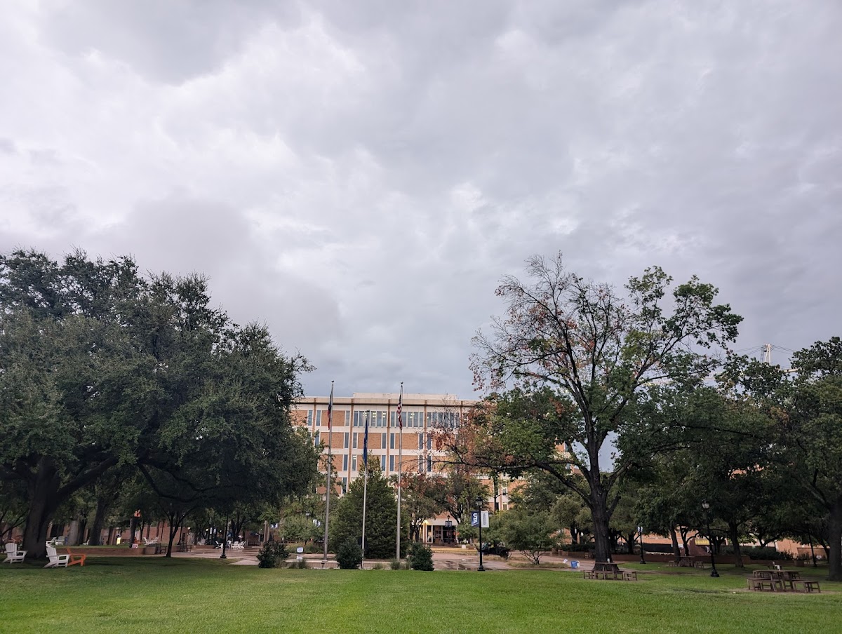 University of Texas at Arlington photo 7