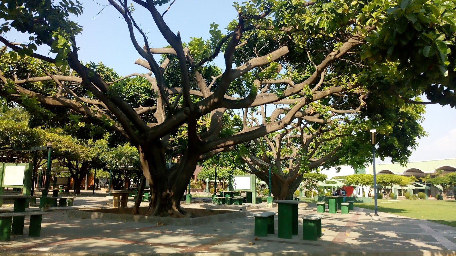 Valledupar