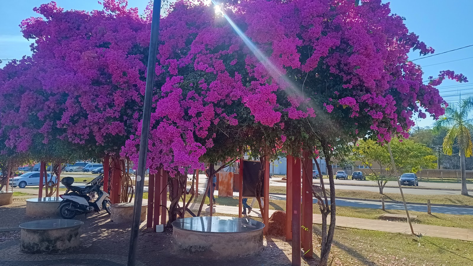 Goiânia