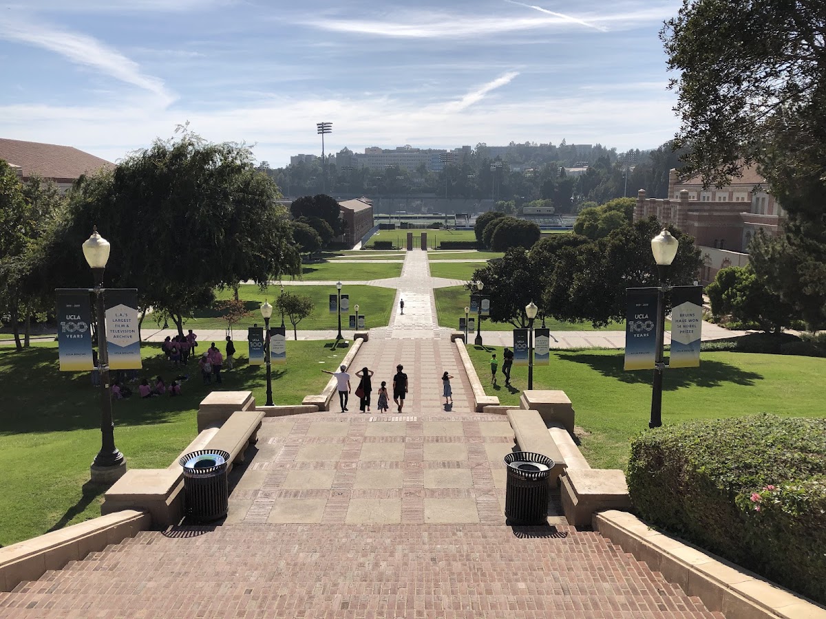 University_1233 photo 6