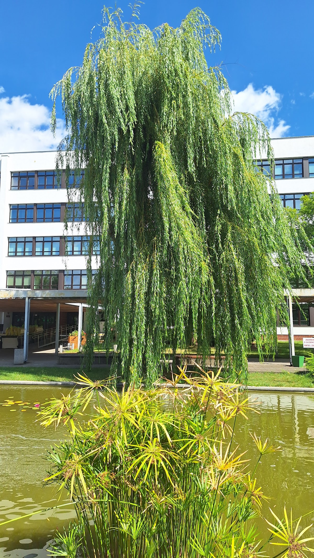 University of Life Sciences in Poznań photo 8