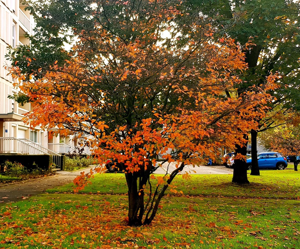 Université de Rouen Normandie photo 5