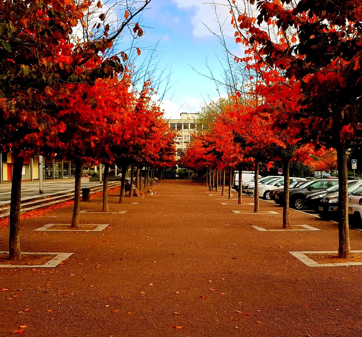 Université de Rouen Normandie photo 6