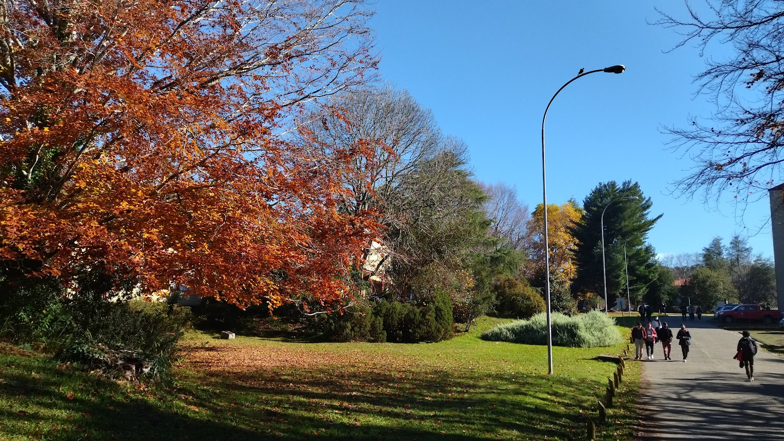 Valdivia