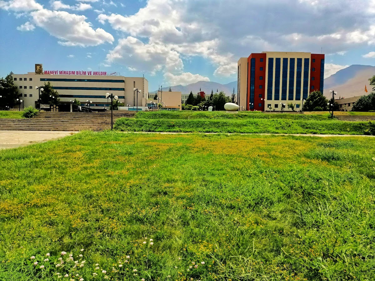 Inönü University photo 7