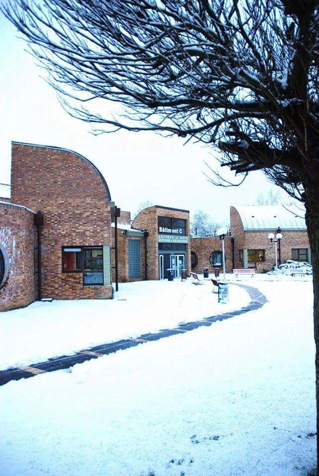 Université d'Artois photo 7