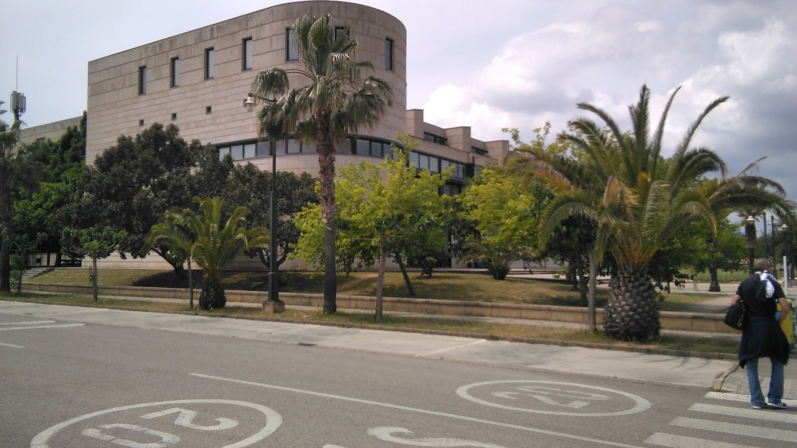 Palma