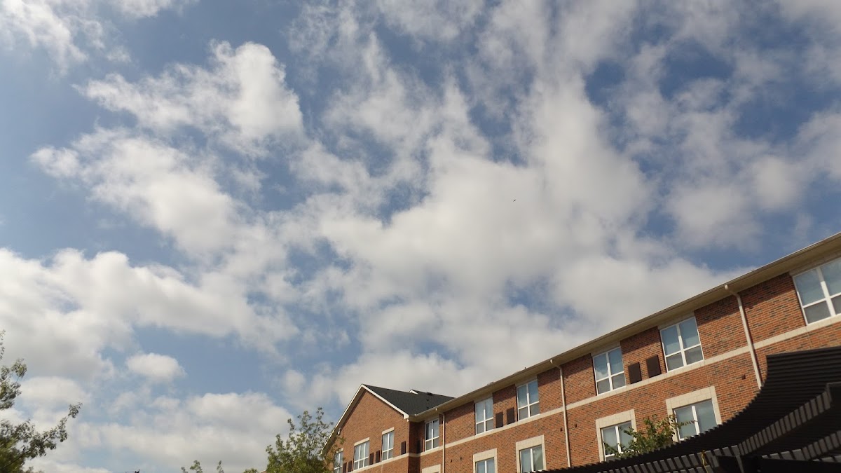 Tarleton State photo 2
