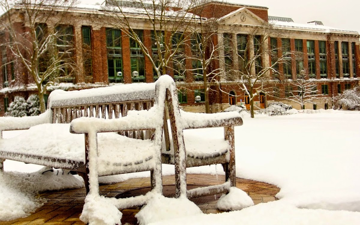 SUNY ESF photo 2