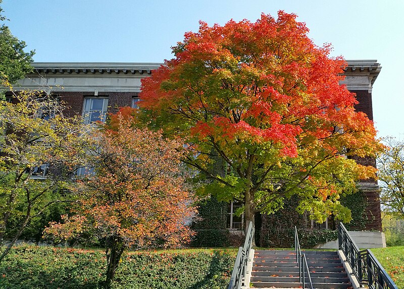 SUNY ESF photo 6