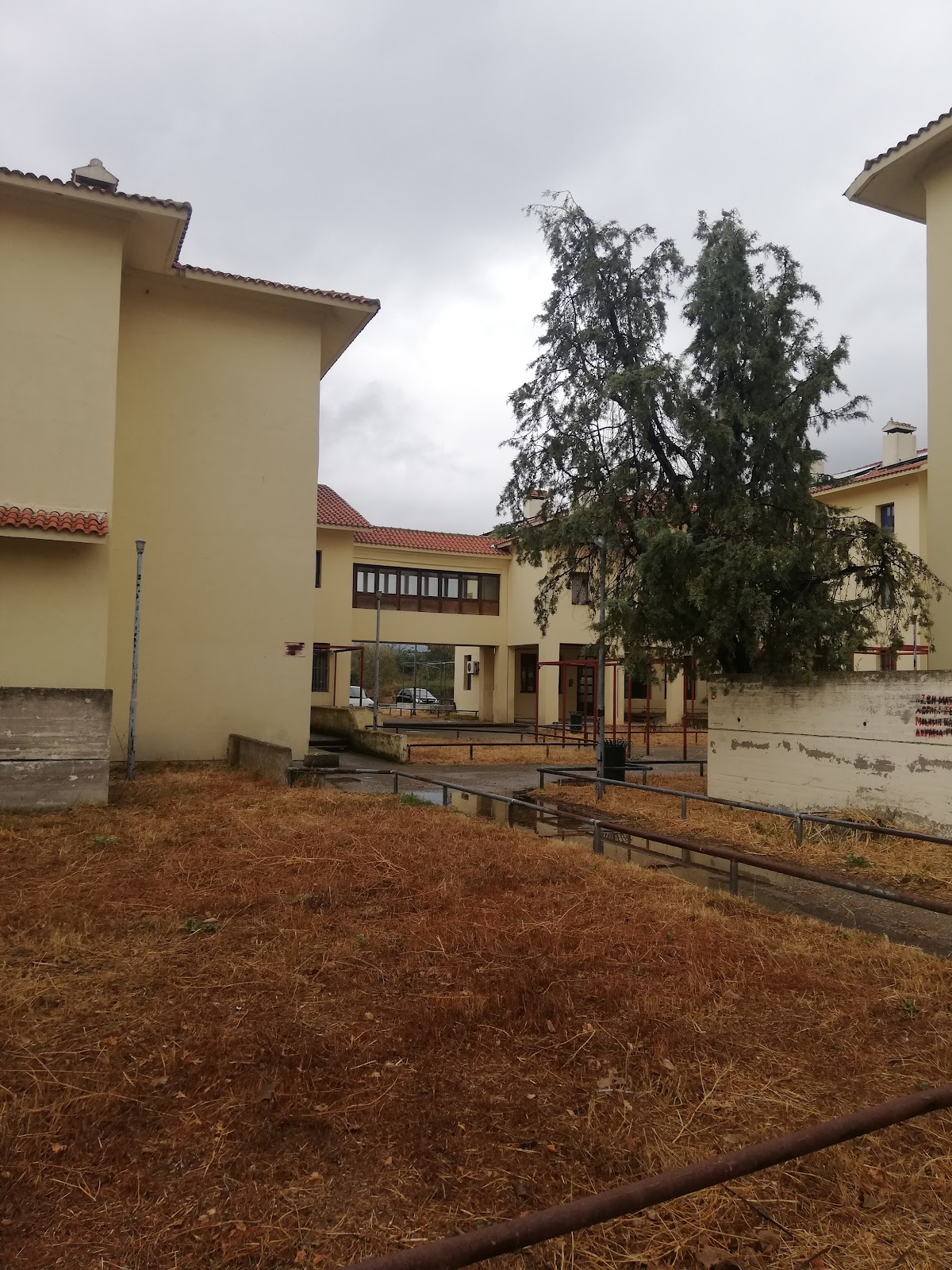 Democritus University of Thrace (Orestiada) photo 7