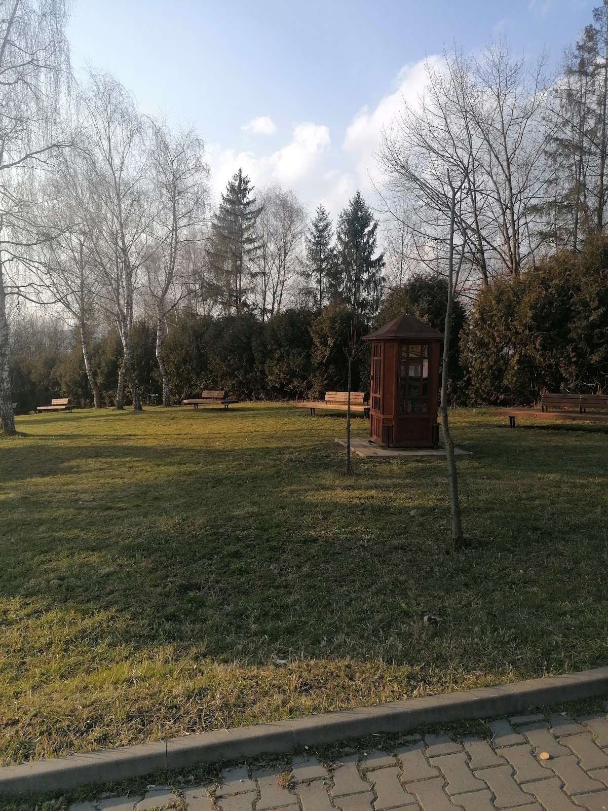 University of Medicine and Pharmacy of Târgu Mureș photo 8
