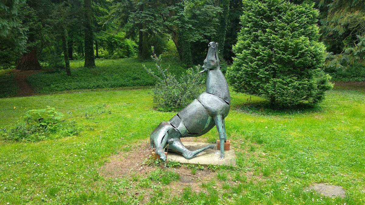 University of West Hungary photo 1