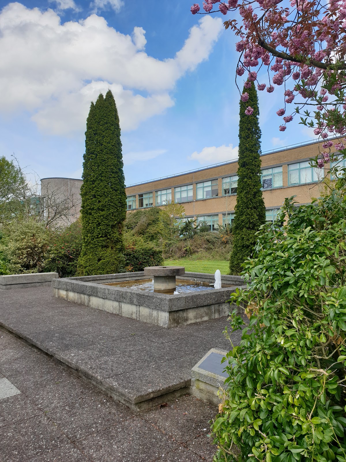 Technological University of the Shannon photo 9