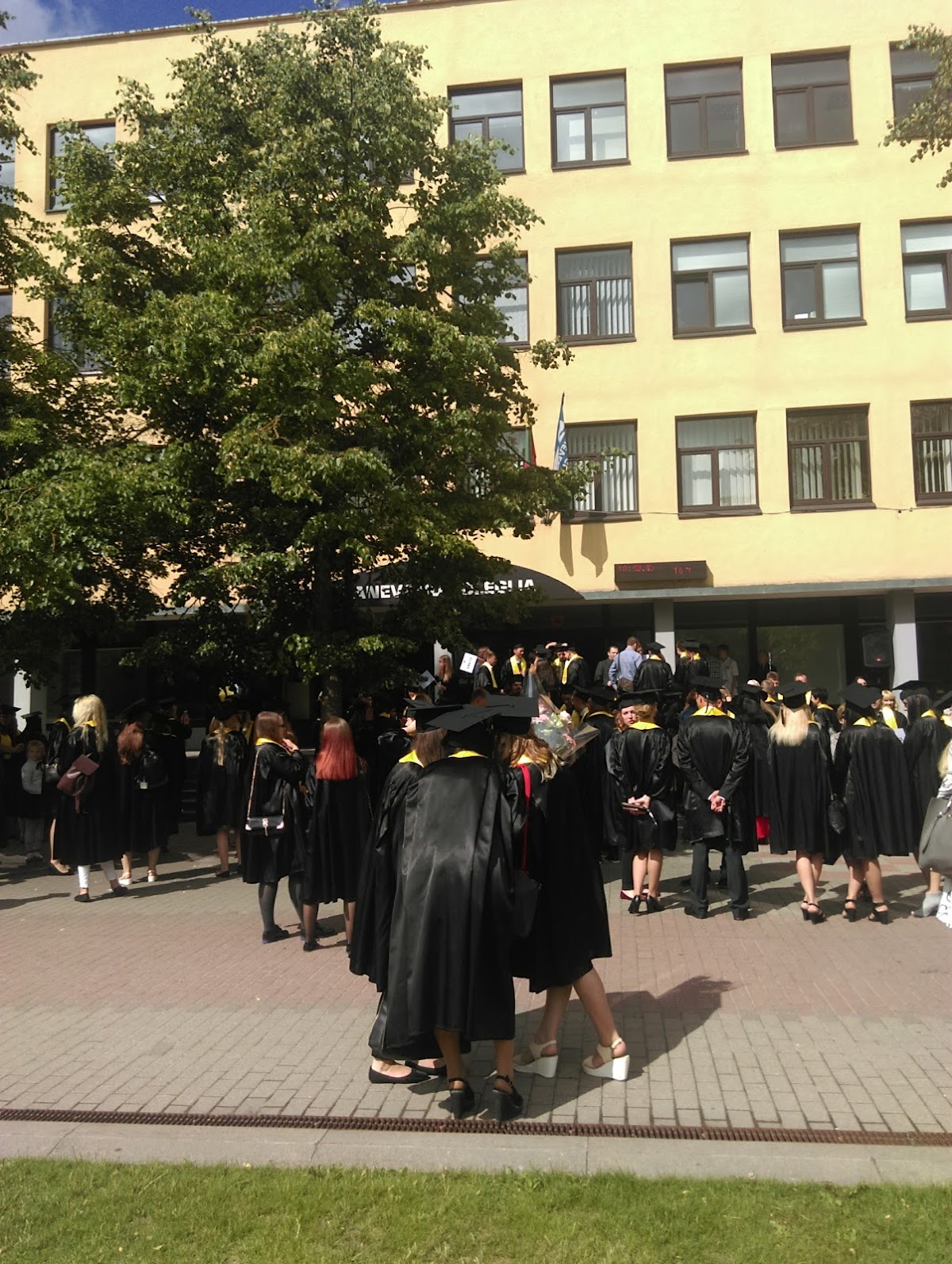 Panevėžys College photo 6