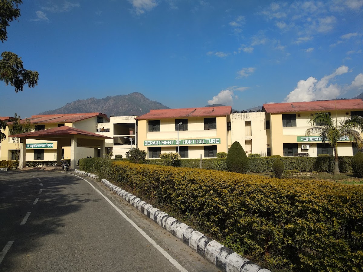 Hemvati Nandan Bahuguna Garhwal University photo 3