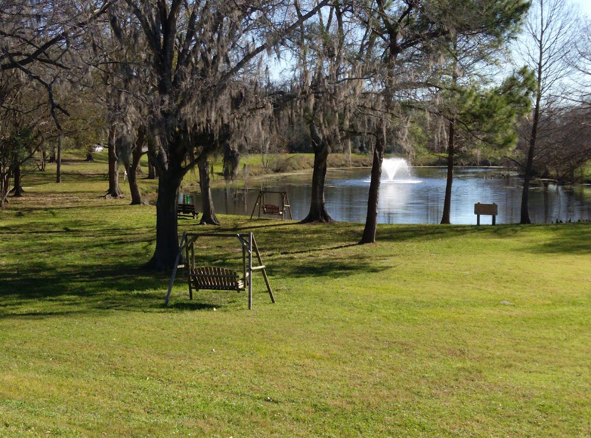 University of Houston-Clear Lake photo 1