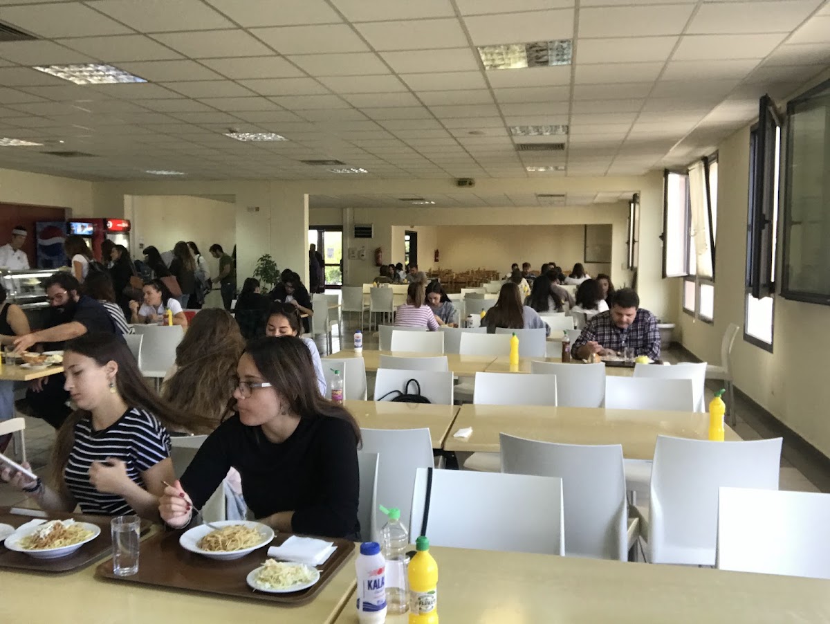 University of the Aegean photo 8